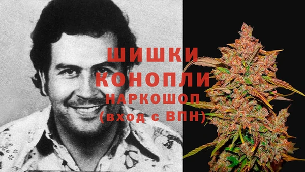 PSILOCYBIN Арсеньев