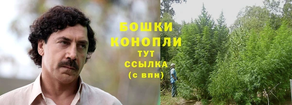 PSILOCYBIN Арсеньев